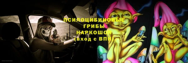 соль ск Алексеевка