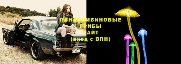 соль ск Алексеевка