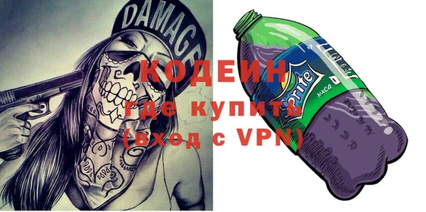 твердый Новодвинск
