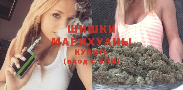 твердый Новодвинск