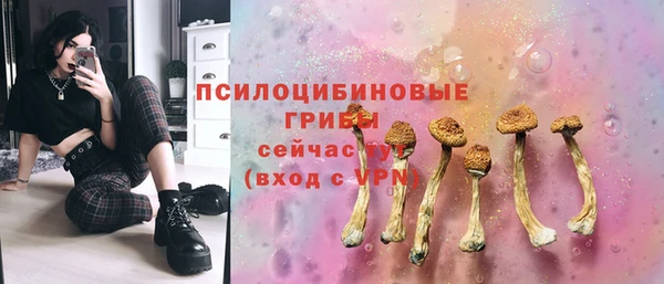 бутират Алексин