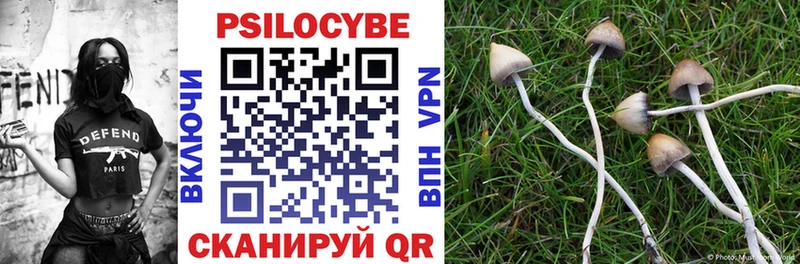 Галлюциногенные грибы Magic Shrooms  Новосиль 